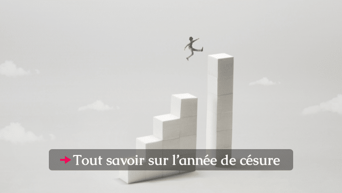 FOCUS S4 année de césure