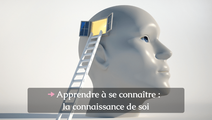 FOCUS S16 apprendre à se connaître _ la connaissance de soi