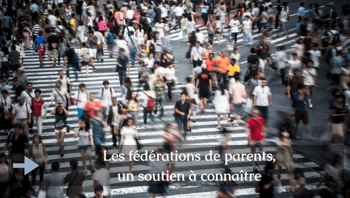 Profitez d'une visite guidée particulière de Parcoursup, au calme, quand vous le souhaitez